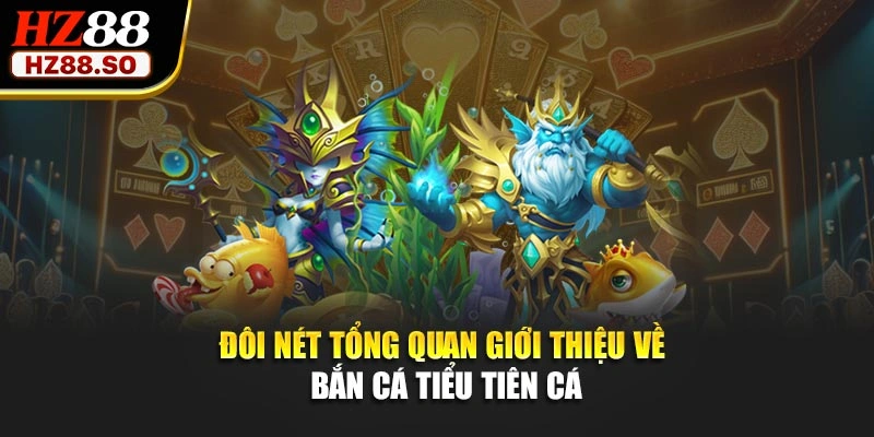 Đôi nét tổng quan giới thiệu về bắn cá tiểu tiên cá